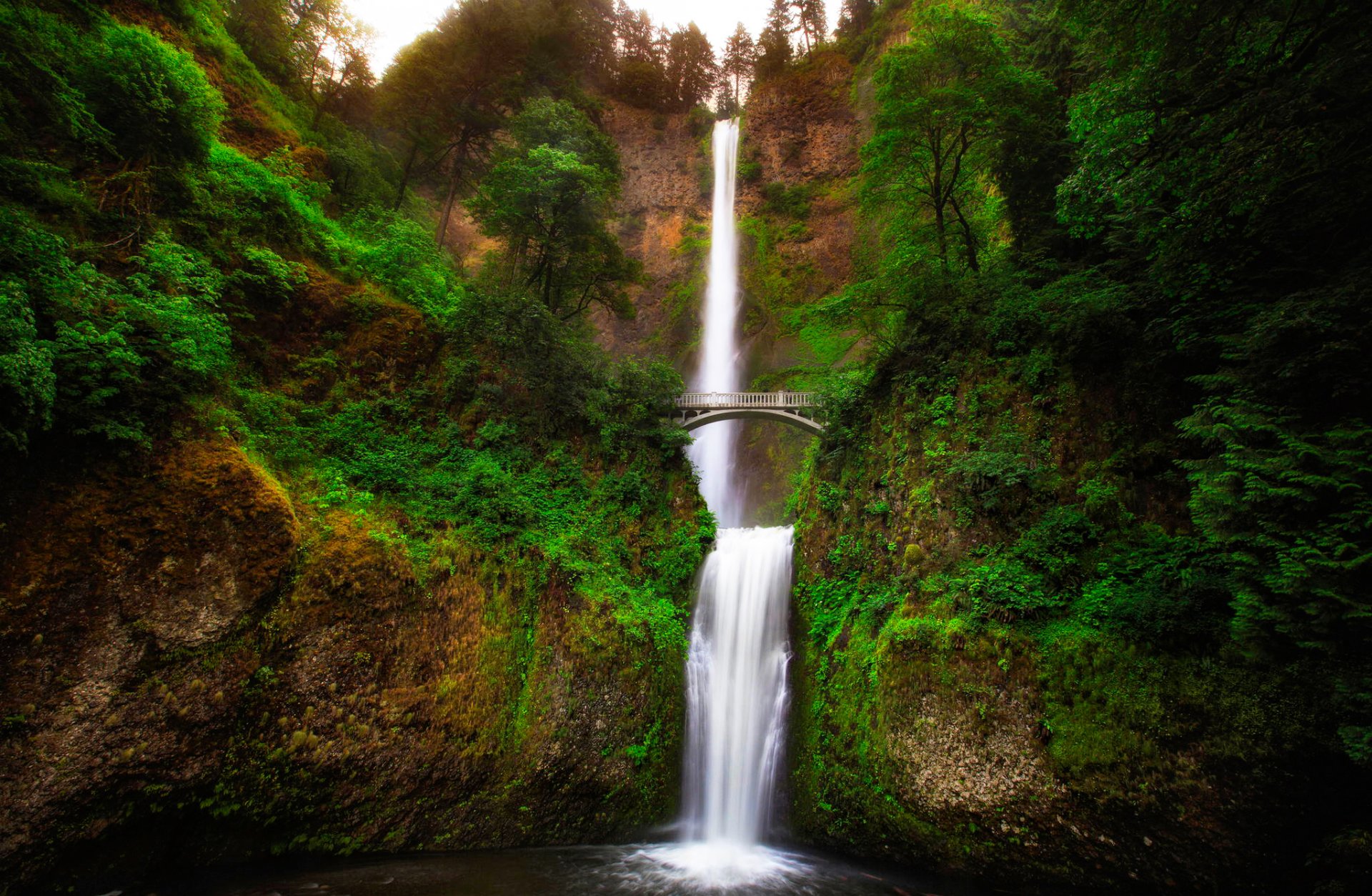 oregon usa maltnoma wasserfall fluss strom felsen schlucht bäume grün brücke landschaft