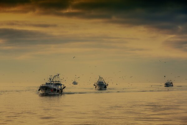 Los barcos rabolovets navegan al atardecer