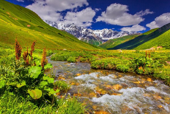 Mountain stream on a clear day