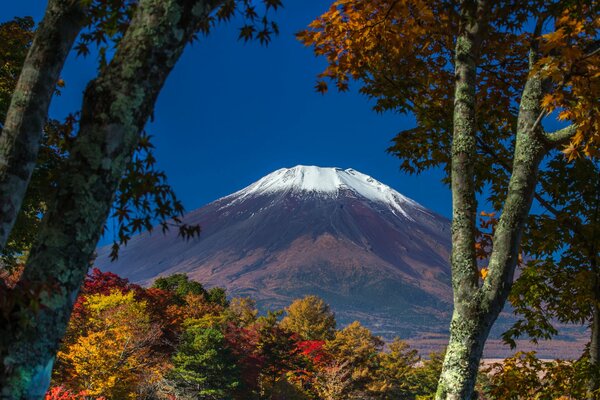 Herbstlandschaft vor dem Hintergrund des schneebedeckten Fujiyama-Gipfels