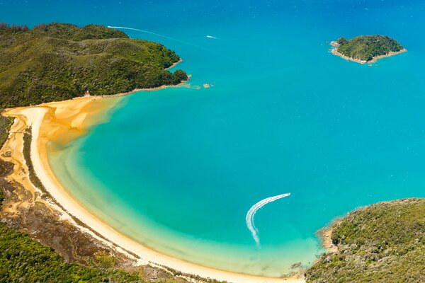 Das helle Meer des Abel Tasman Nationalparks in Neuseeland