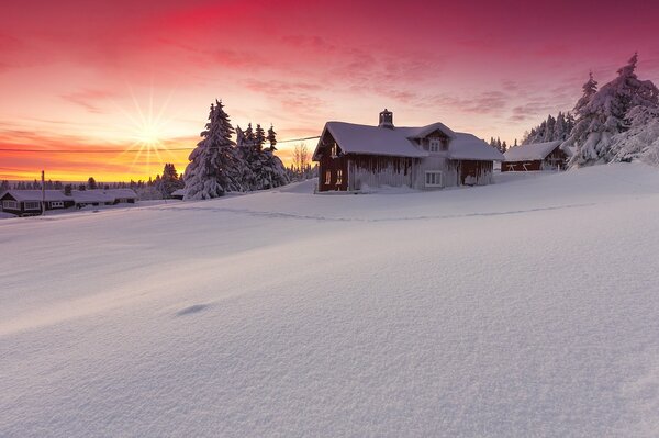 Paisaje cubierto de nieve contra el cielo rosa