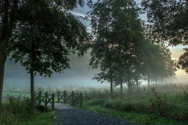 Neblige Morgenlandschaft mit Brücke