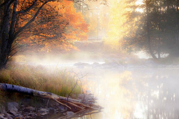 Herbstmorgen Nebel über dem Wasser