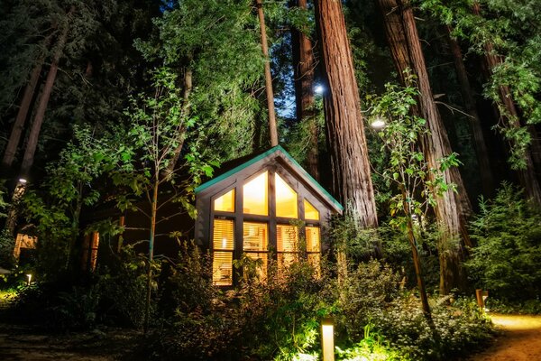 A house with lights in the forest at night