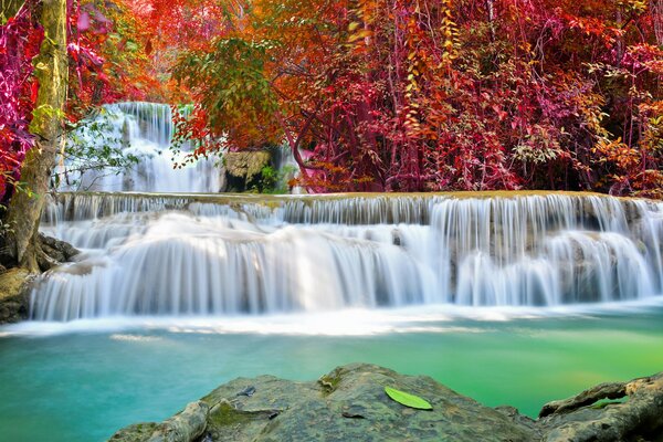 Beautiful forest waterfall in autumn