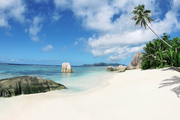 An uninhabited island with rocks on the shore and palm trees