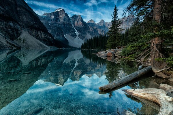 Paesaggio canadese di montagna e foresta