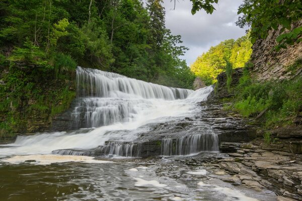 Die Kaskade des Wasserfalls. Stürmischer Fluss im Wald