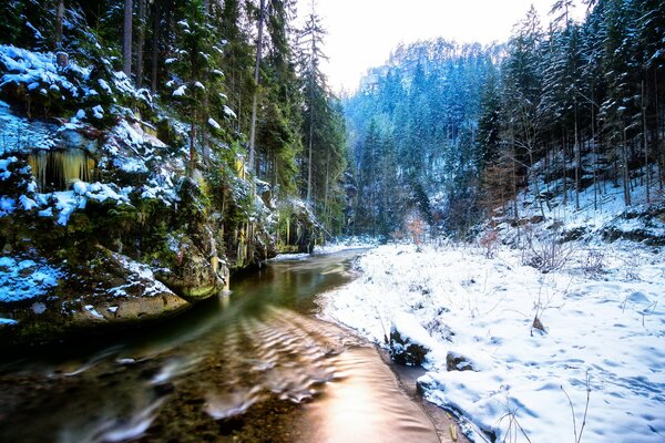 Très bel hiver