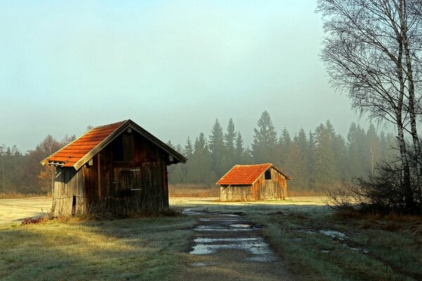 Forest landscape. A path blurred by rain and two abandoned houses