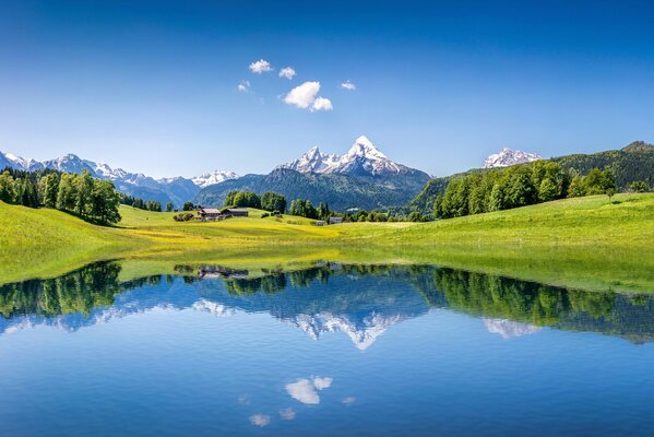 Paesaggio estivo nel riflesso del Lago di montagna