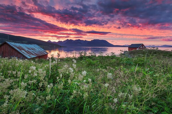 Lonely houses on the lake shore