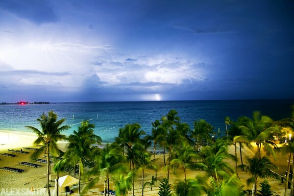 Bahamas palmeras en la costa del mar en medio de una tormenta eléctrica