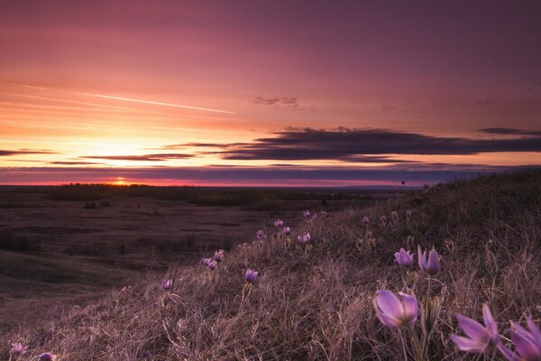 Gäste Landschaft bei Sonnenuntergang