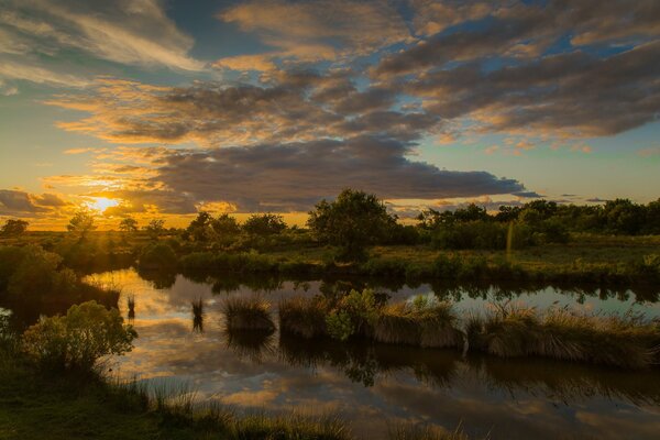 Landscape sunset over a forest lake