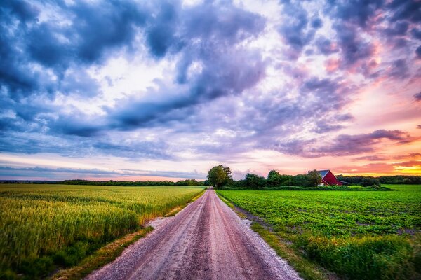 Route rurale à travers les champs sur le fond d un beau ciel coucher de soleil