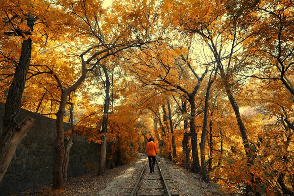 La ragazza va sui binari nel parco autunnale