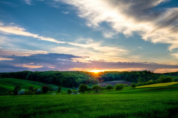 Passeggiata attraverso il villaggio di campi di Prato