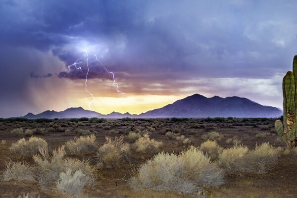 Thunderstorm sunset cactus mountain