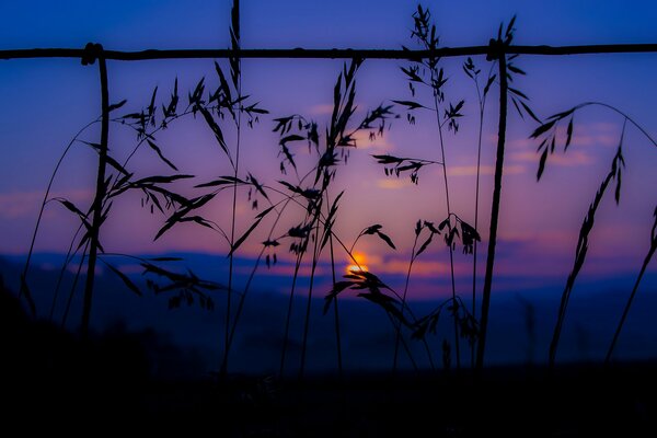 Beau coucher de soleil rose lilas