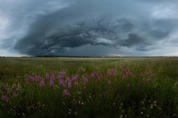 The sky over the field before the coming thunderstorm