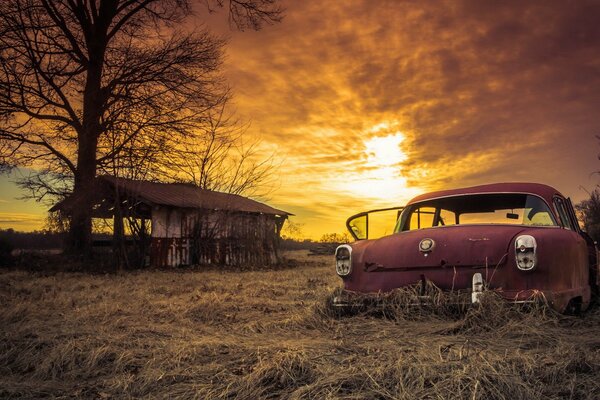 Abandoned car in the grass