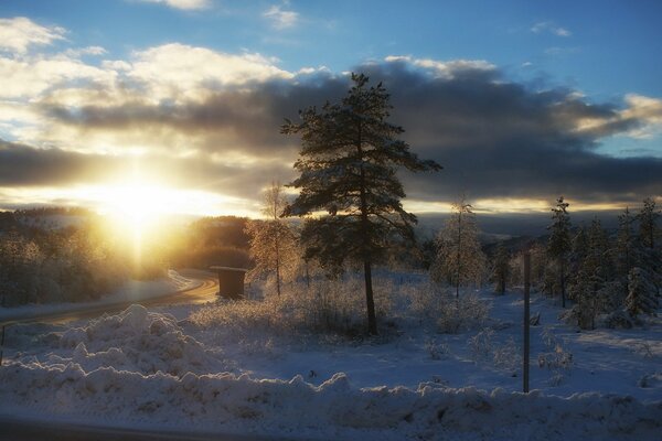 Paisaje nevado de invierno por la mañana