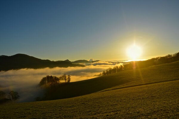 Brouillard matinal sur le champ