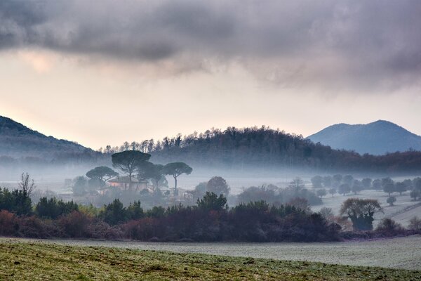 Fog rising over fields in Italy