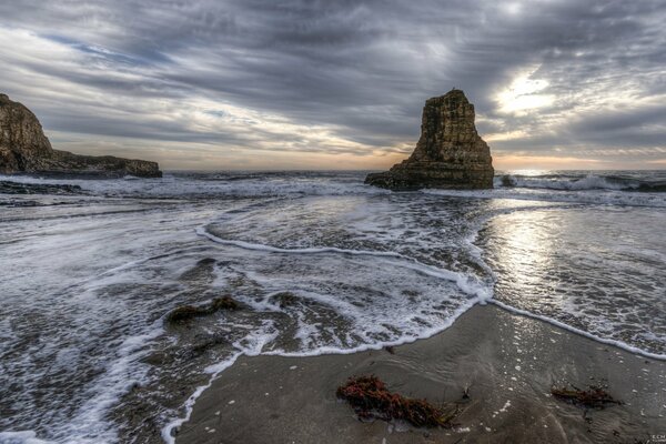 Davenpoot rocks in California