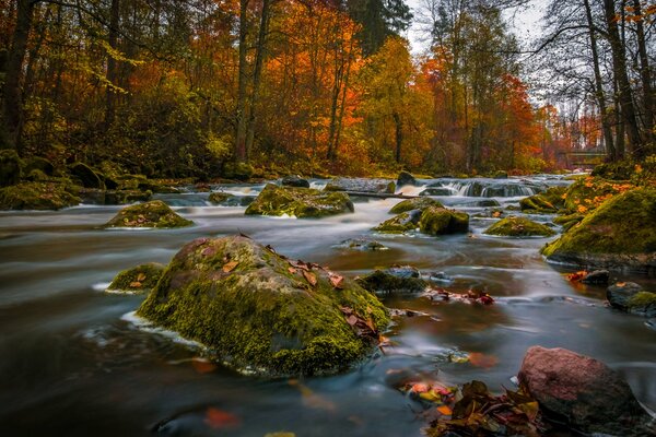 Finland in autumn, a river with stones