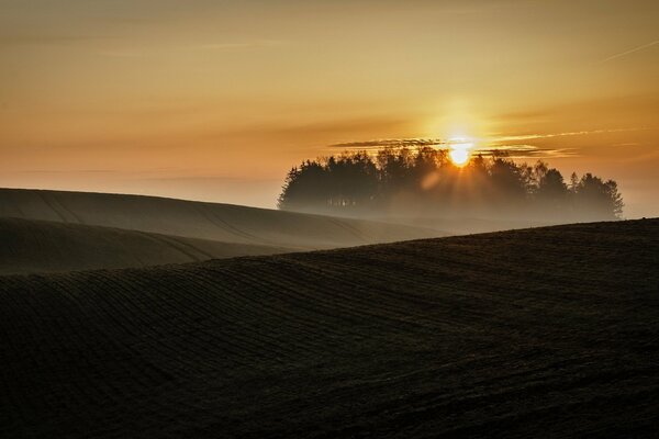 The misty landscape of the field in the rays of sunset