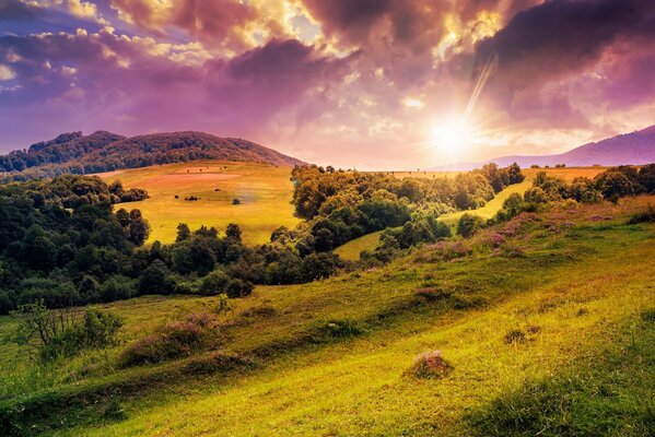 La clairière et les collines sont très belles