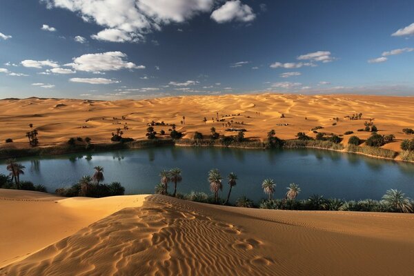 Oasi nel bellissimo deserto del Sahara