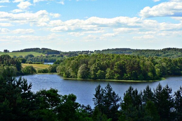 Photos of trees and lakes with beautiful clouds