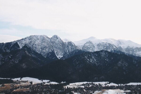 Trees stand against the background of a snow-covered mountain