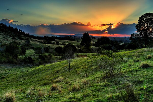 Hermosa puesta de sol sobre el valle de los árboles