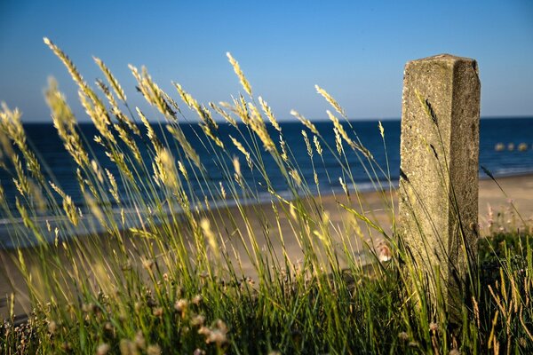 Beau paysage marin sur la plage