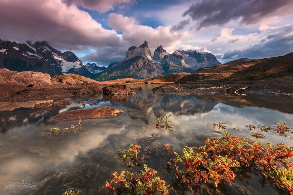 Ameryka Południowa w lutym, Patagonia, Góry Andes, Park Narodowy Torres del Paine