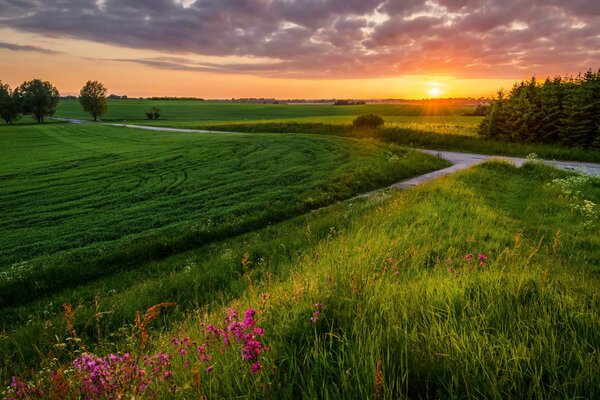 Schöne Feldlandschaft mit Sommer Sonnenuntergang