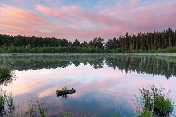 Sommerlandschaft. Ein ruhiger See spiegelt den schönen Himmel wider