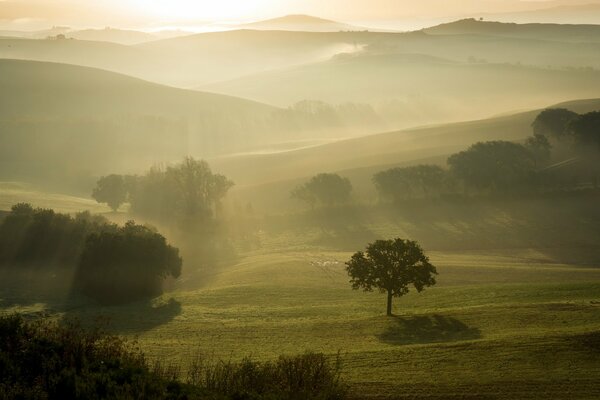 Neblige Landschaft im Feld am Morgen