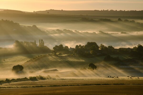 Morning fog covers fields and hills