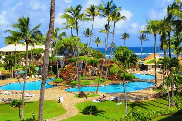 Vacances sous les tropiques avec piscine et palmiers