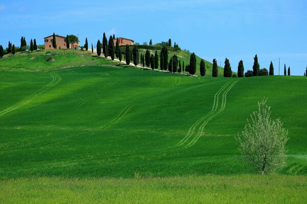 Italian hills against the sky