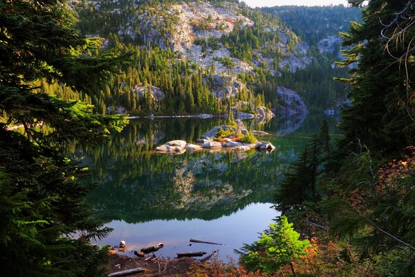 Nature of the USA. Forest around a mountain lake