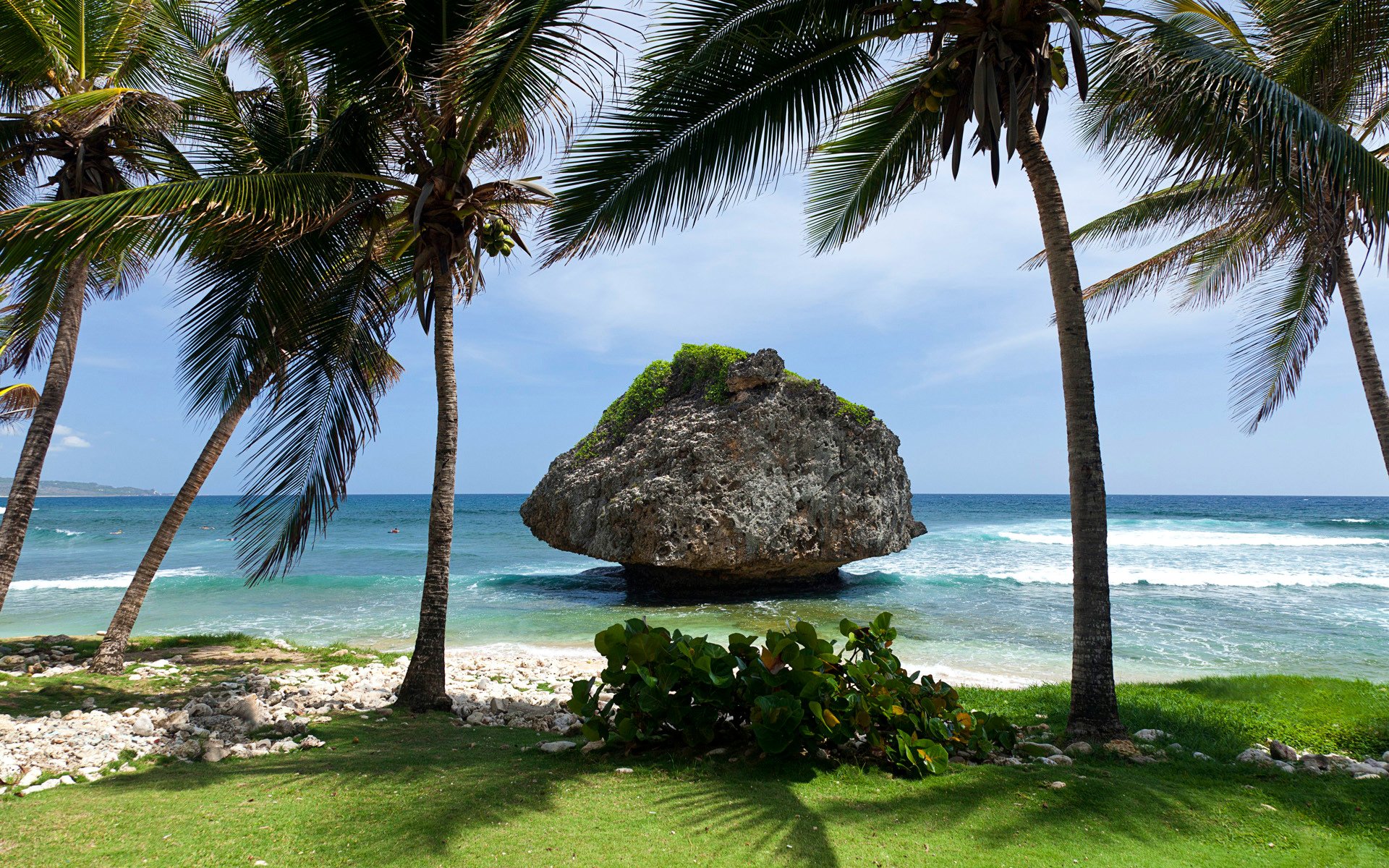 tropics sky clouds island sea palm stone rock