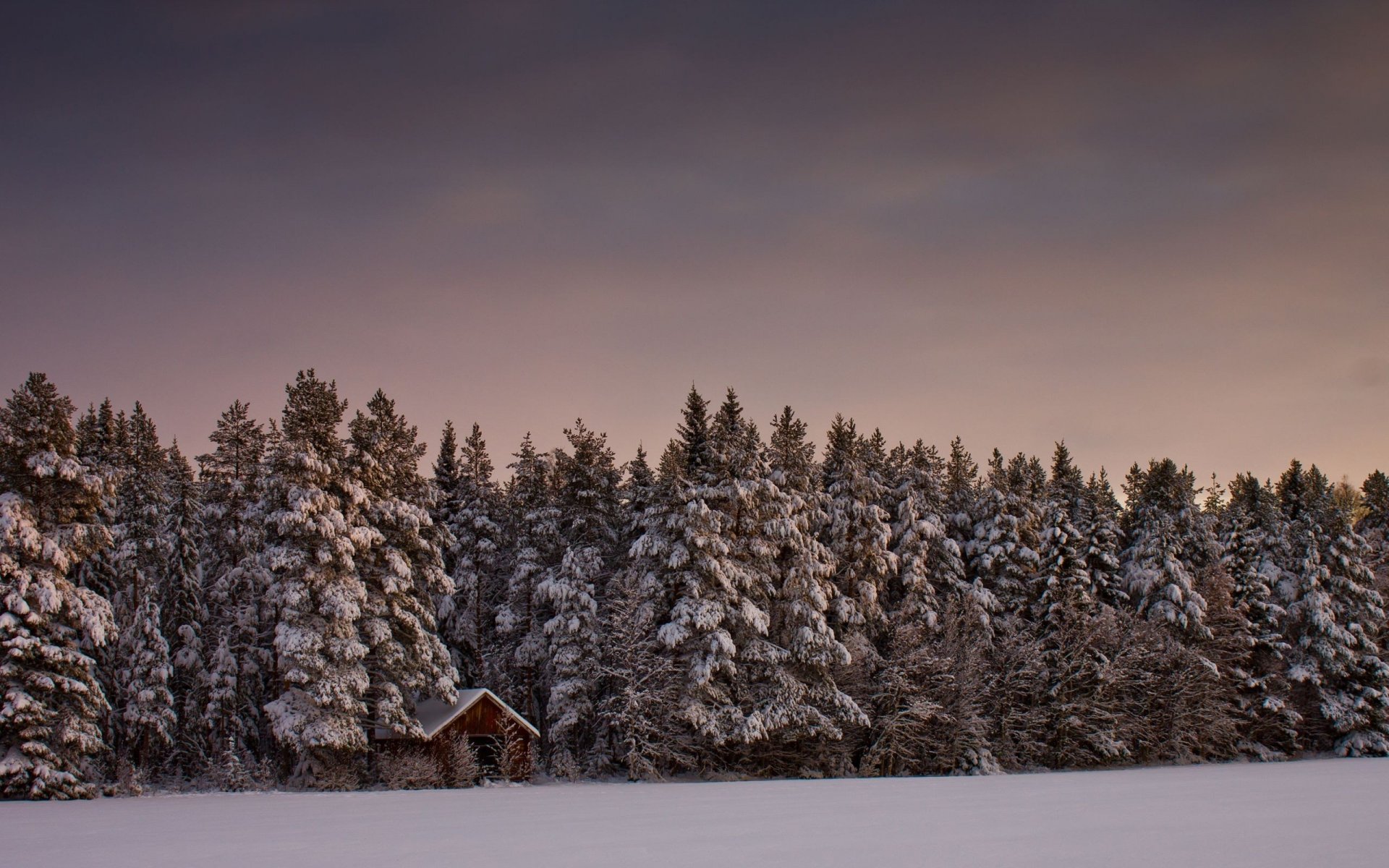 winter wald haus schnee bäume