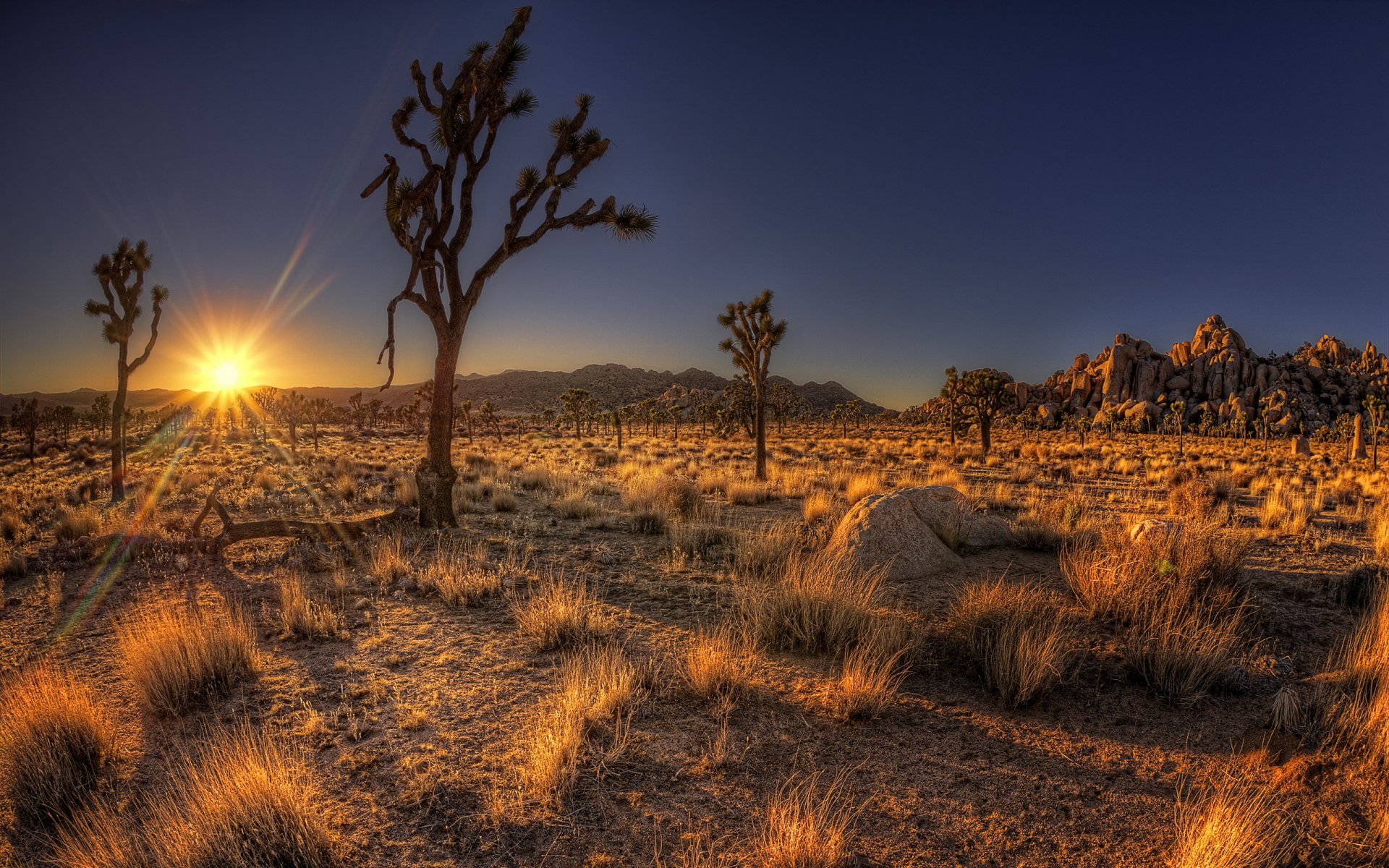 coucher de soleil champ paysage